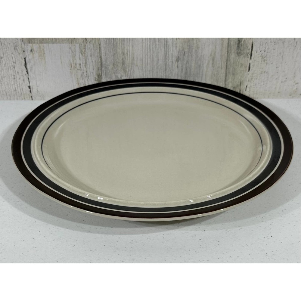 Regency Designer Collection Newcor Stoneware 714 Universe Serving Plate Platter‎